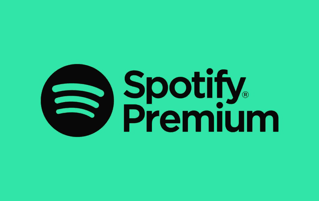 Spotify 6 Month Subscription Digital Code  UAE