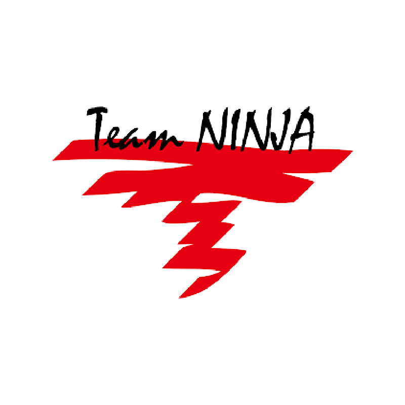 Team Ninja