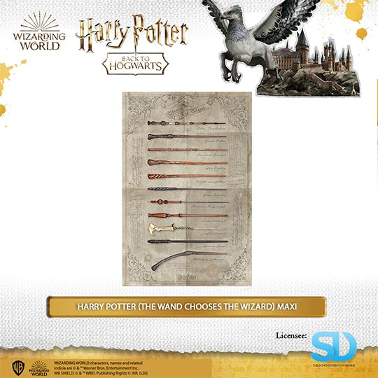 Pyramid  Harry Potter - The Wand Chooses The Wizard - Maxi Poster