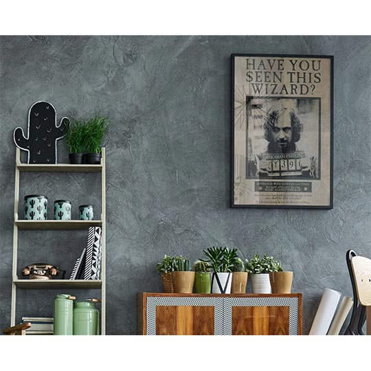 Pyramid  Harry Potter - Wanted Sirius Black - Maxi Poster