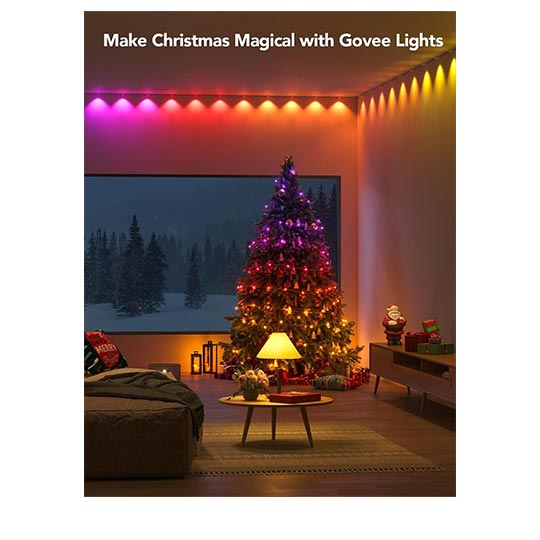 Govee RGBIC String Indoor Downlights 3m