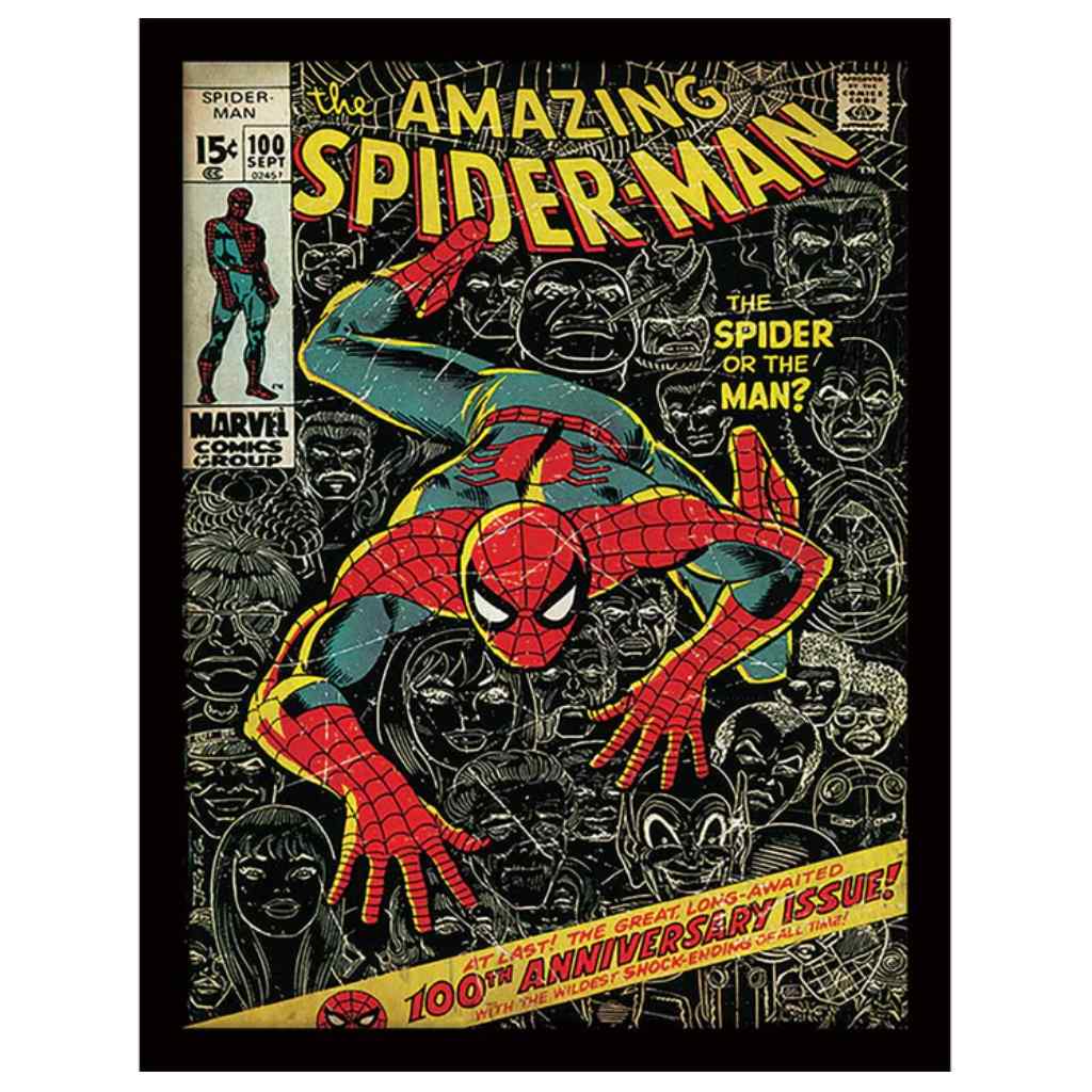 Pyramid - Spider-Man 100Th Anniversary - Wooden Frame