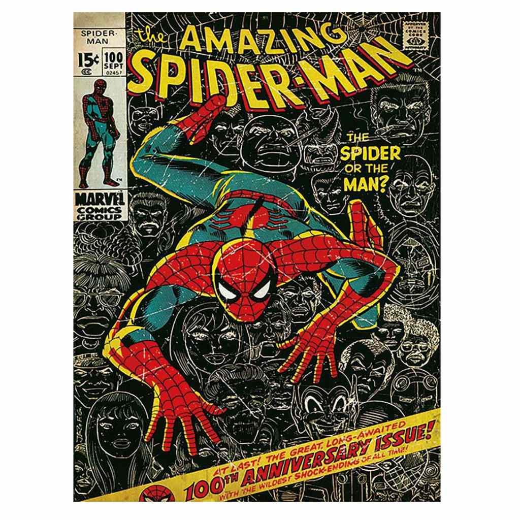 Pyramid - Spider-Man - 100Th Anniversary 30X40 Frame