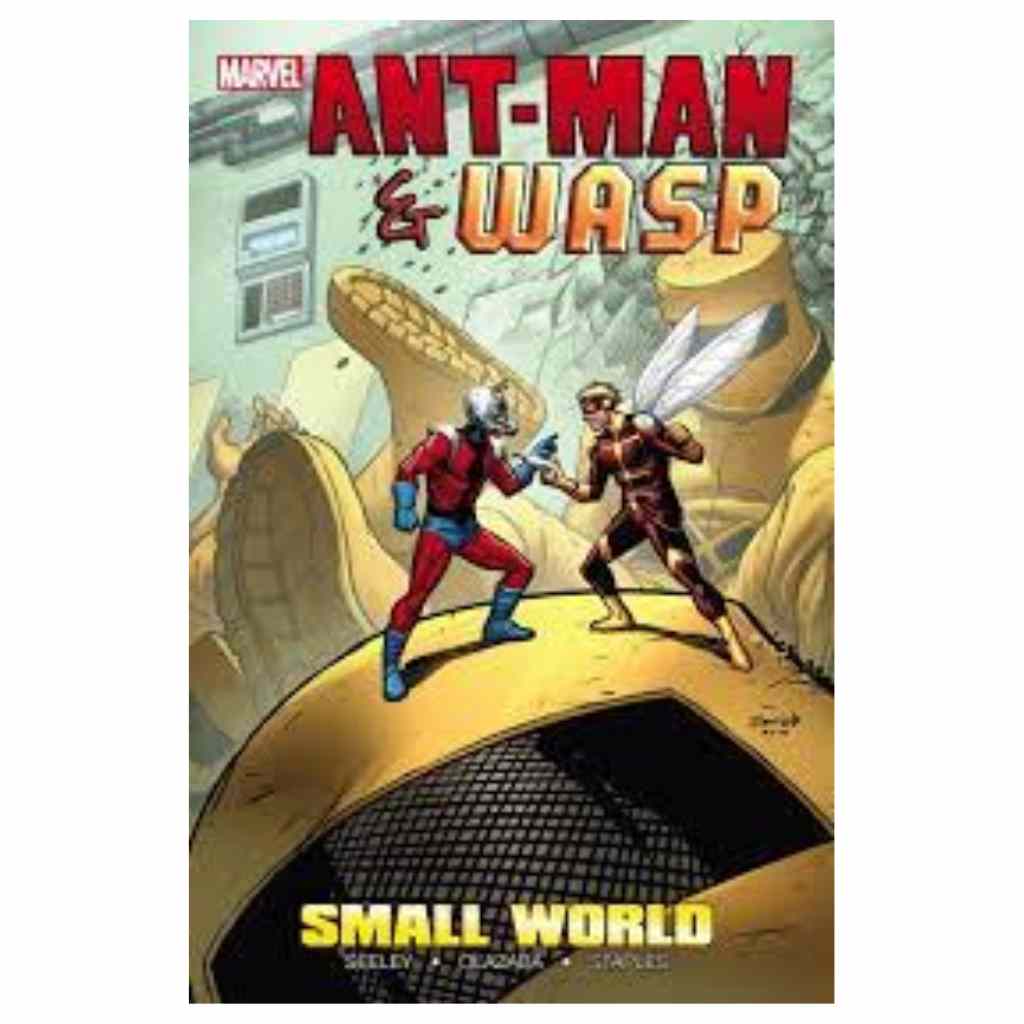 Pyramid - Ant-Man And The Wasp - Small World 30X40 Frame