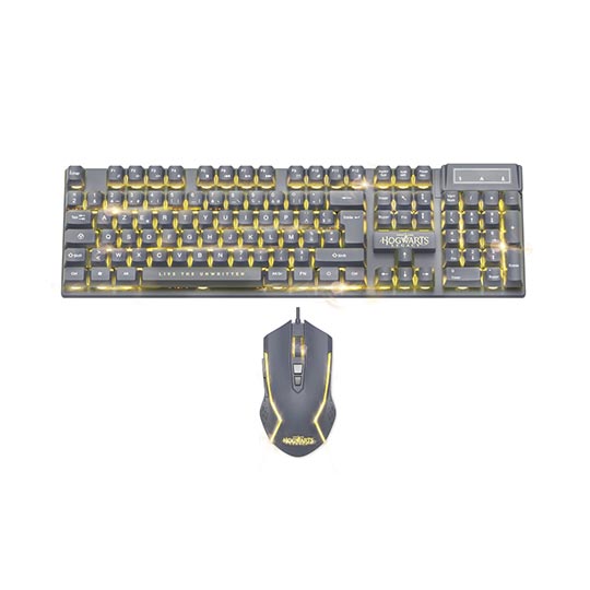 Freaks And Geeks Harry Potter-Hogwarts Legacy Backlit Gaming Keyboard+Mouse Pack
