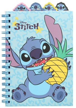 Erik: Disney Stitch Project Notebook