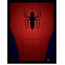 Pyramid - Ultimate Spider-Man Spider-Man Torso - Wooden Framed
