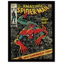 Pyramid - Spider-Man 100Th Anniversary - Wooden Frame