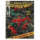 Pyramid - Spider-Man - 100Th Anniversary 30X40 Frame