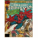 Pyramid - Spider-Man - Chameleon 30X40 Frame