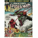 Pyramid - Spider-Man - Green Goblin-30X40 Frame