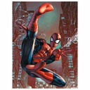 Pyramid - Spider-Man - Web-Sling 30X40 Frame