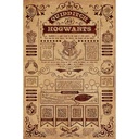 Pyramid  Harry Potter - Quidditch At Hogwarts - Maxi Poster