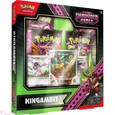 Pokemon TCG: SV 6.5 Shrouded Fable -Illustration Collection